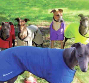 Greyhound Cooling Vest | CoolChampions