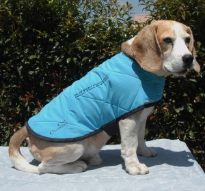 Dog Cool Coat size 43cm