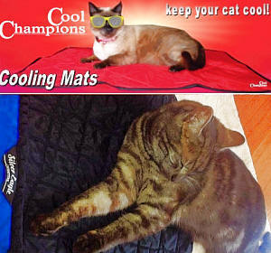 Cooling Mat for Cats