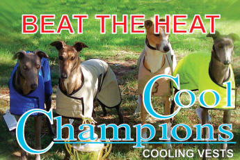 Greyhound Cool Coats